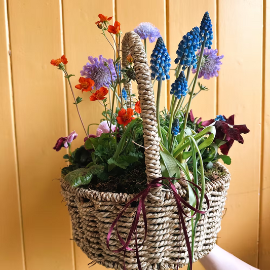 Planted Basket