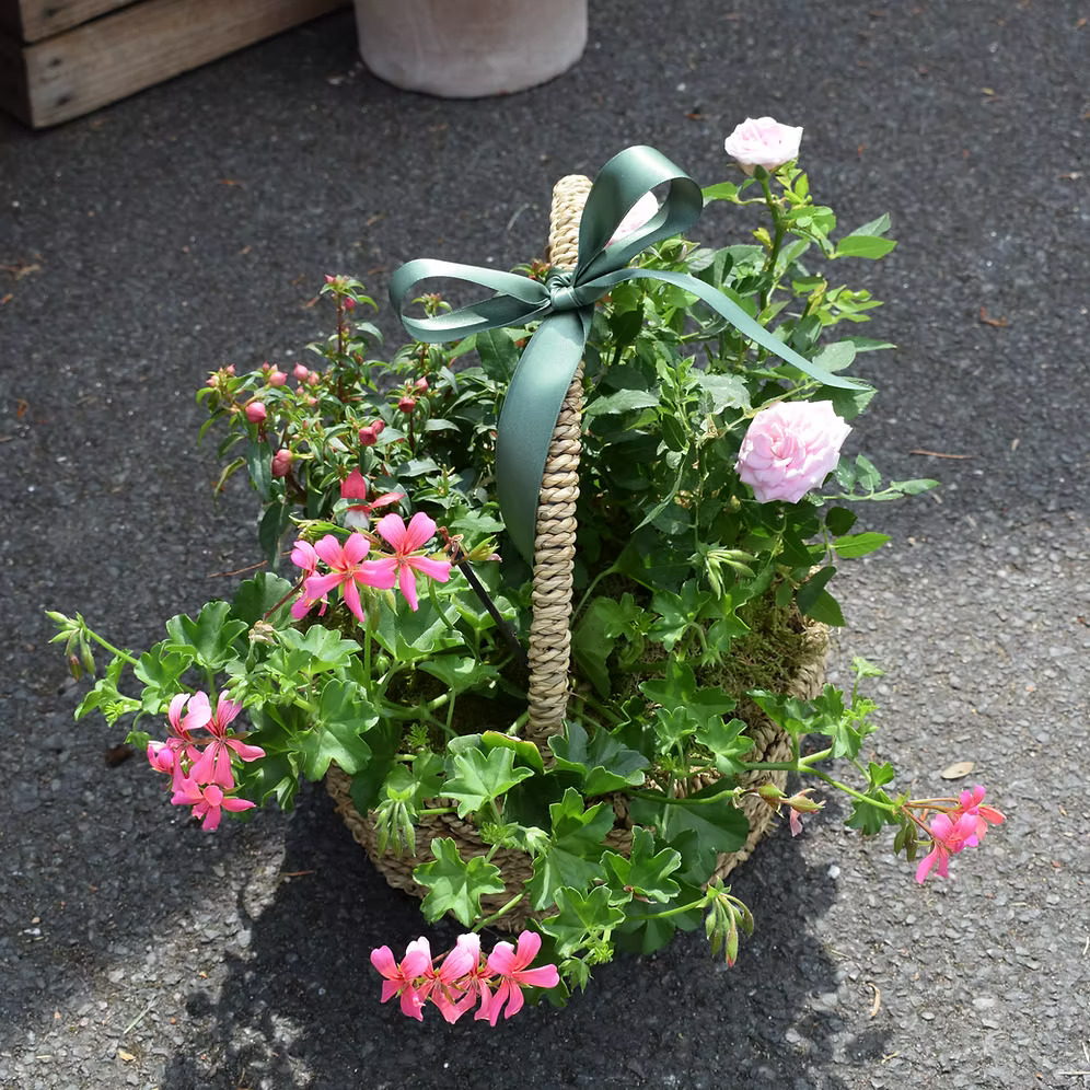 Planted Basket