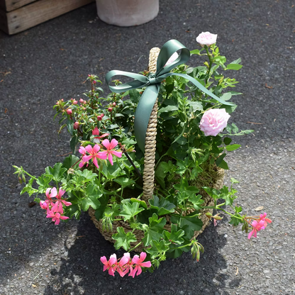 Planted Basket