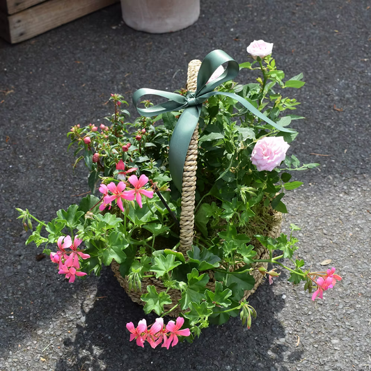 Planted Basket