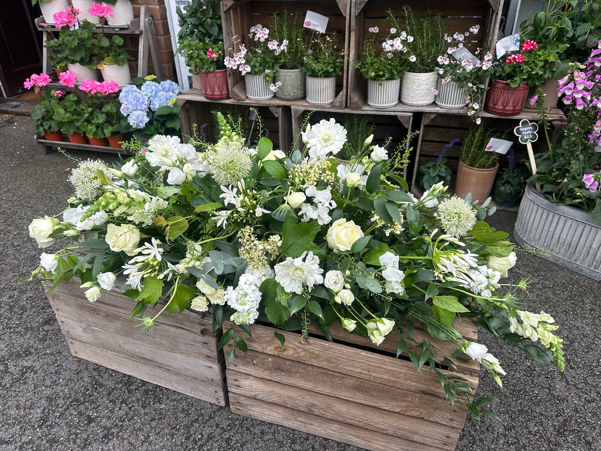 Coffin Sprays