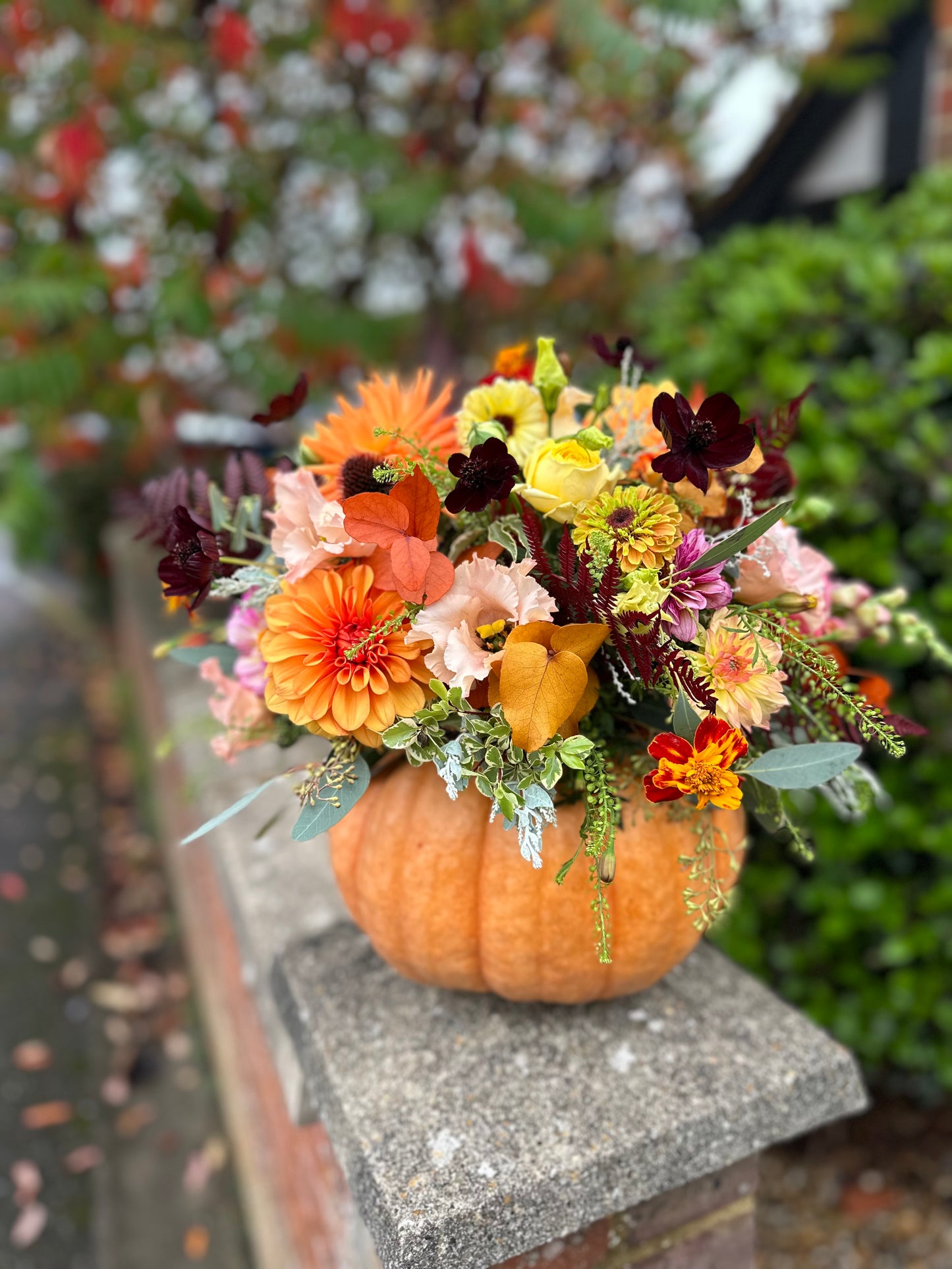 Pumpkin Workshop - £20 Deposit