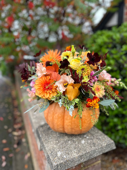 Pumpkin Workshop - £20 Deposit